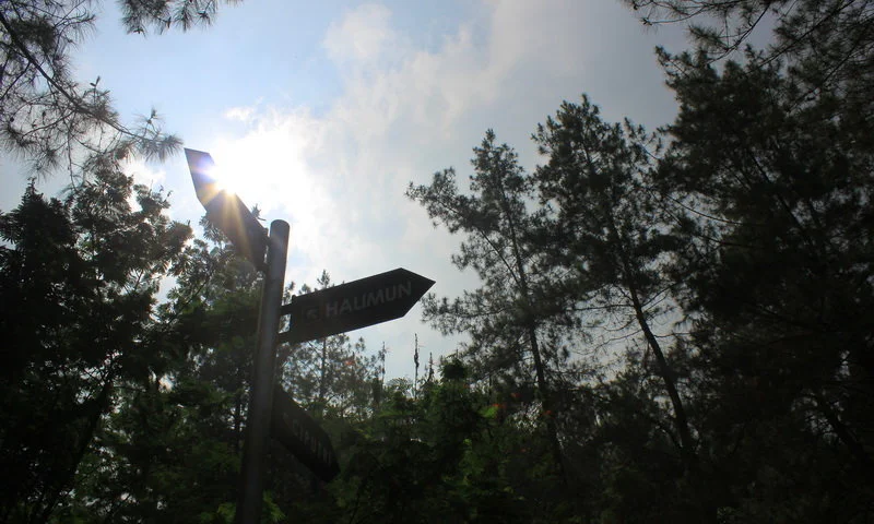 Camping Ground di Bogor