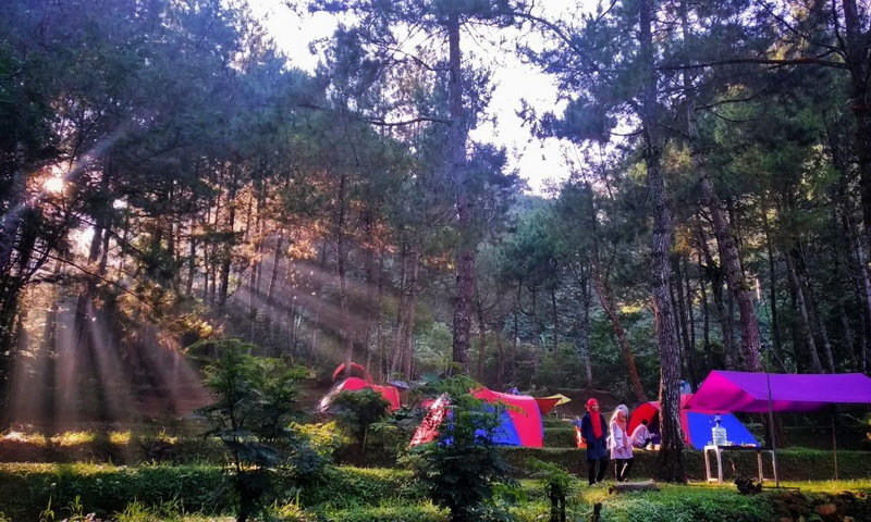 camping keluarga
