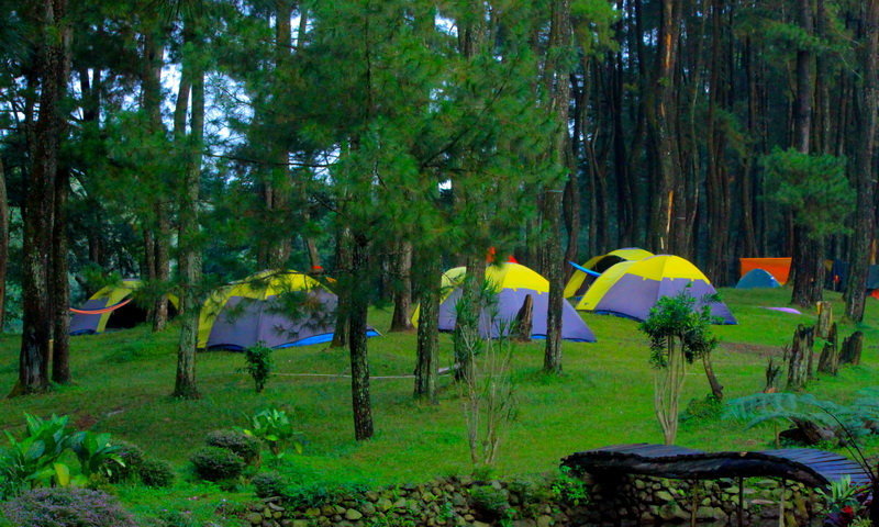 Camping ground Curug Ciputri
