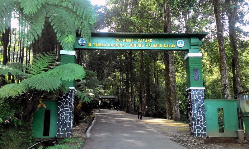 PENGUMUMAN : Taman Nasional Gunung Halimun Salak Resmi dibuka dengan Protokol Kesehatan