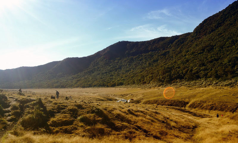 wisata cibodas taman nasional gunung gede pangrango